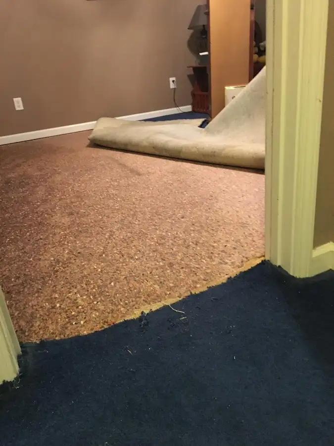 Carpet pad removal revealing water damage during Drying & Dehumidification in Valle Vista