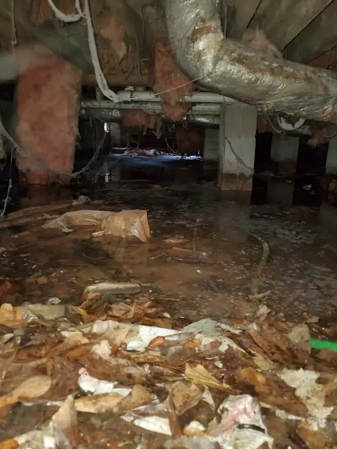 Crawl space flood assessment for Leak Detection & Repair in Valle Vista