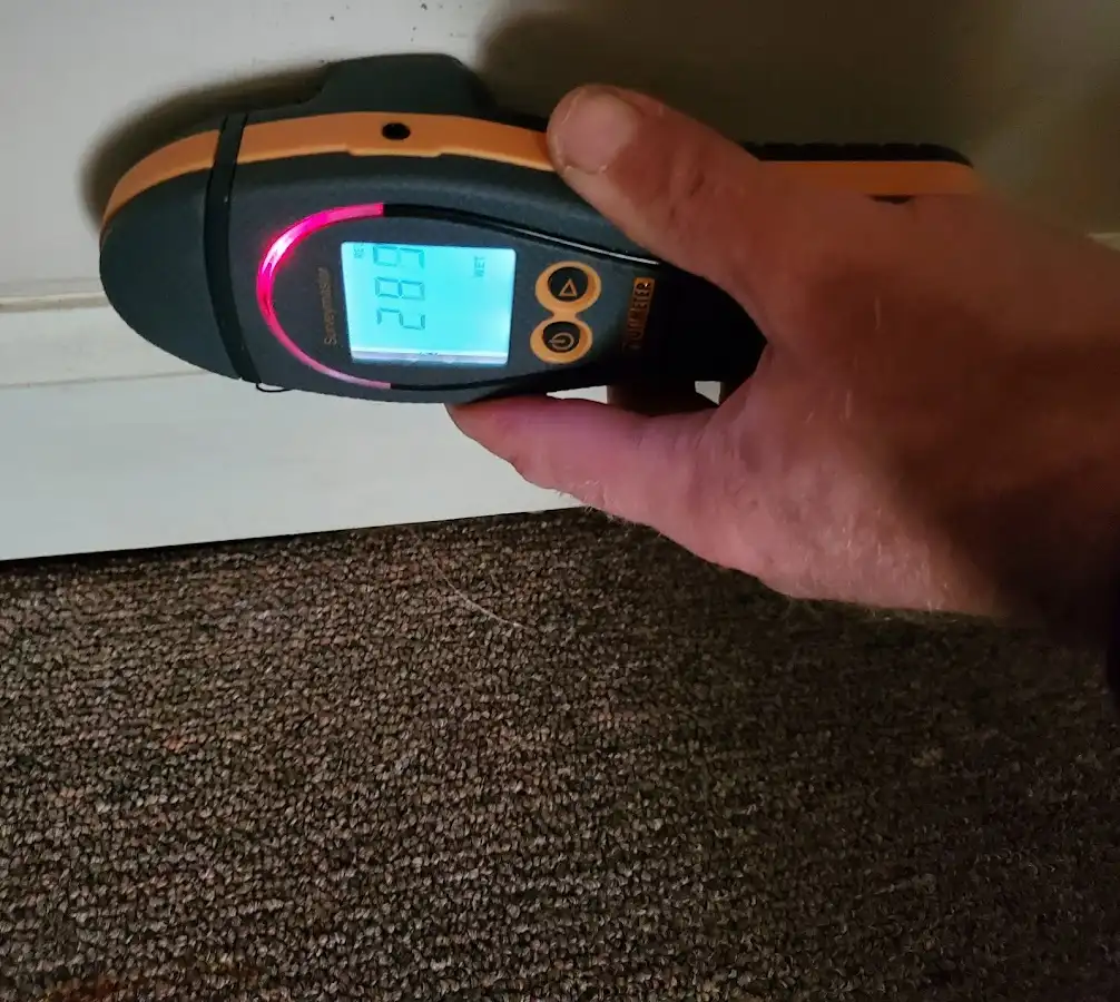 Moisture detection at baseboard during Mold Inspection & Testing in Valle Vista